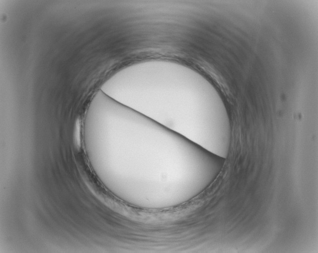 X0000082170022200701191031