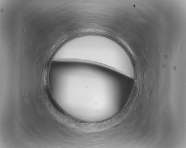 X0000082170023200701191031