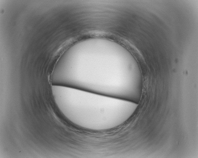 X0000082170024200701191031