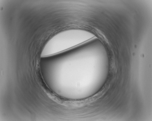 X0000082170025200701191031