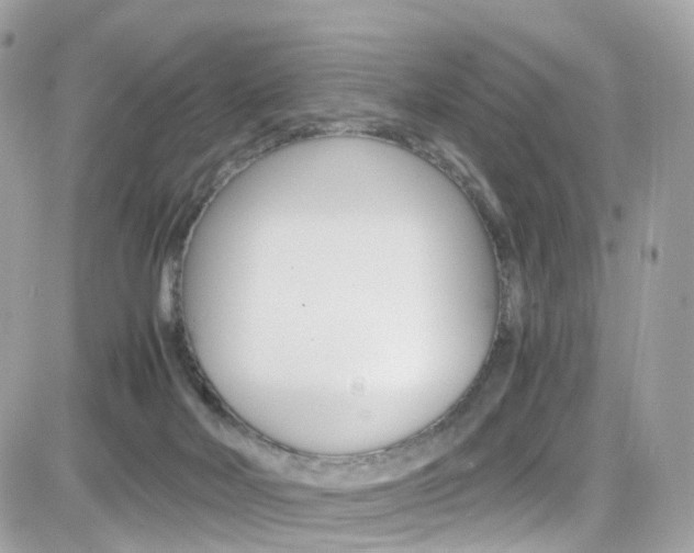 X0000082170026200701191031