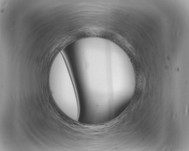 X0000082170027200701191031