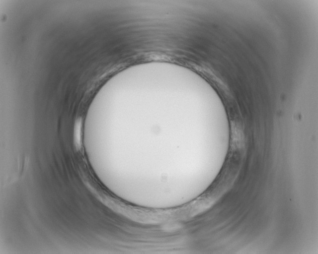 X0000082170028200701191031