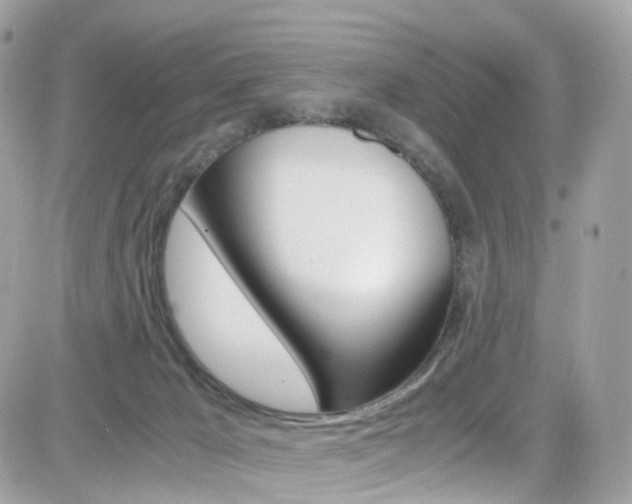 X0000082170029200701191031