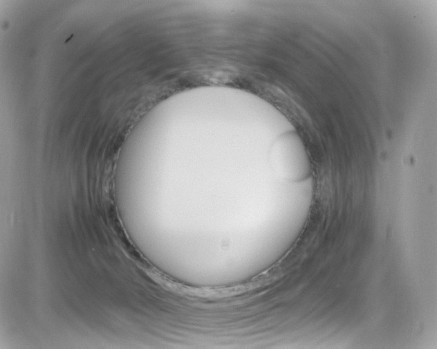 X0000082170030200701191031