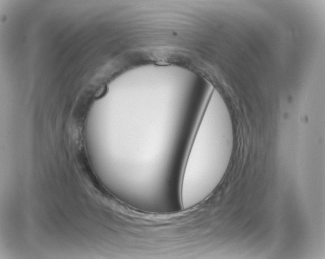 X0000082170031200701191031