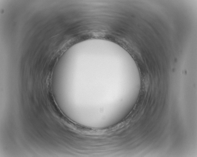 X0000082170032200701191031