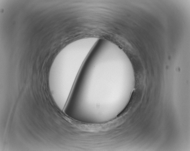 X0000082170033200701191031