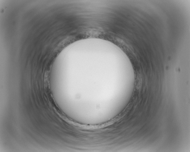 X0000082170034200701191031