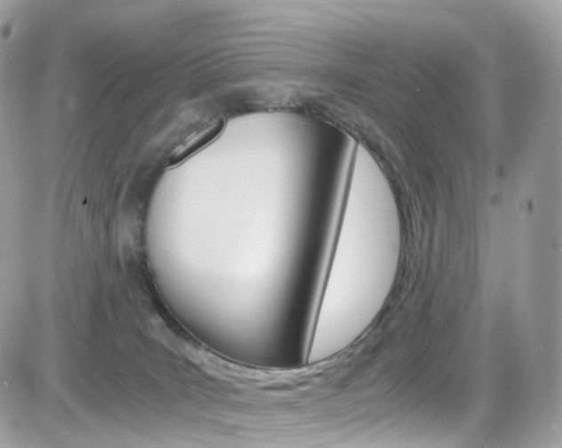 X0000082170035200701191031