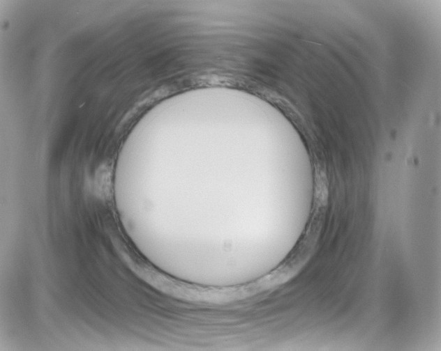 X0000082170036200701191031