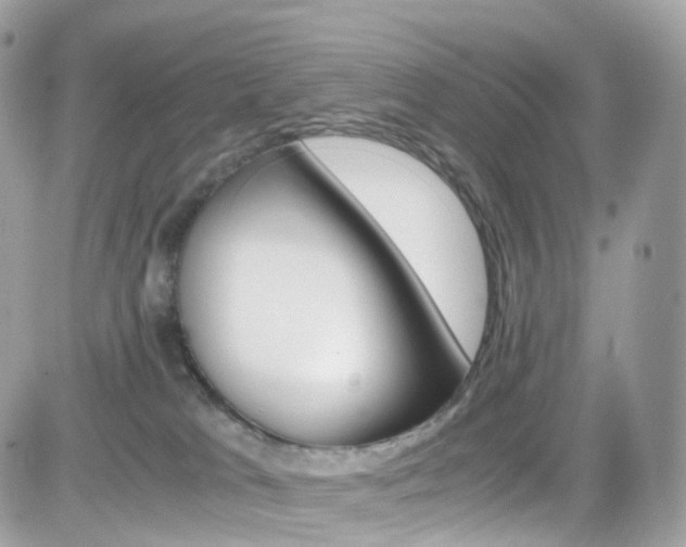 X0000082170037200701191031