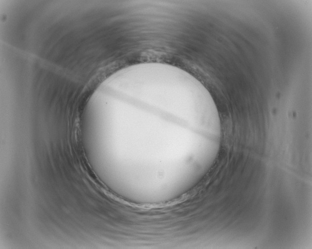 X0000082170038200701191031