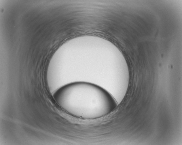 X0000082170039200701191031