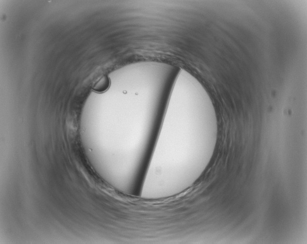 X0000082170040200701191031