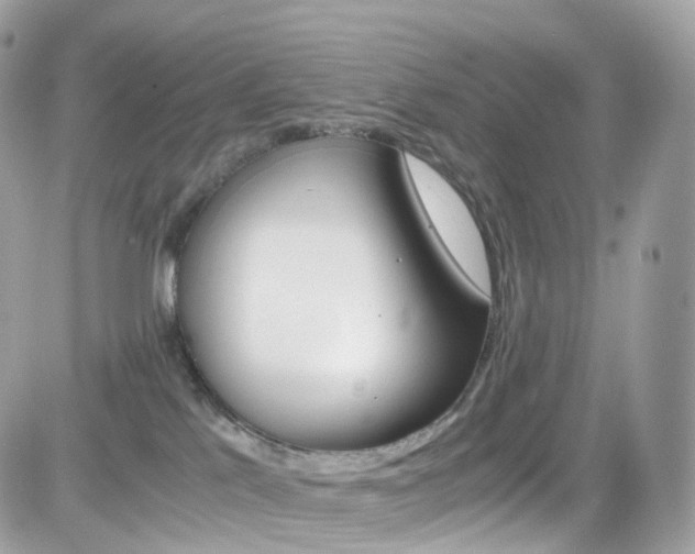 X0000082170041200701191031