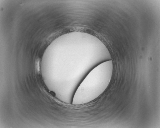 X0000082170042200701191031