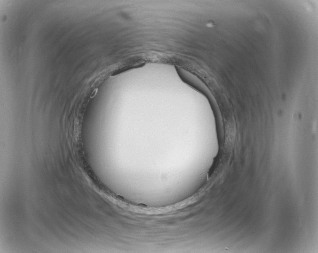 X0000082170043200701191031