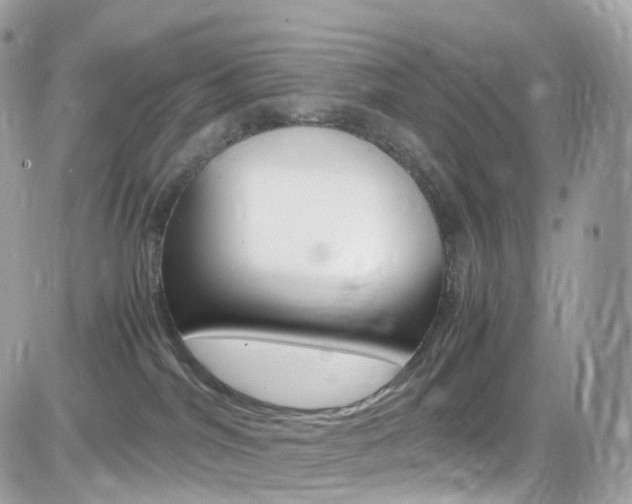 X0000082170044200701191031