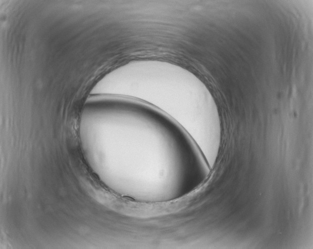 X0000082170045200701191031