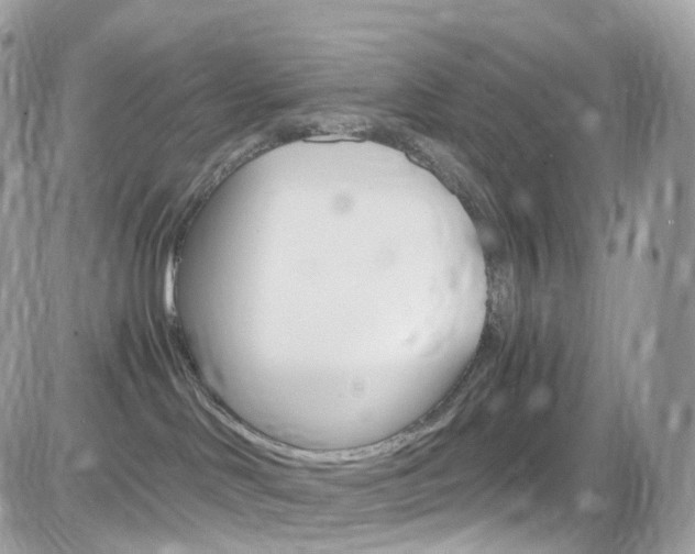 X0000082170046200701191031