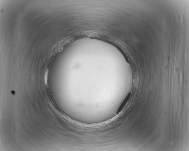 X0000082170047200701191031