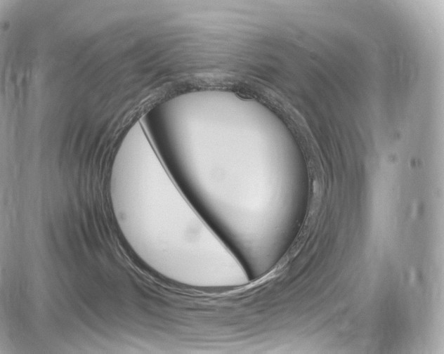 X0000082170048200701191031