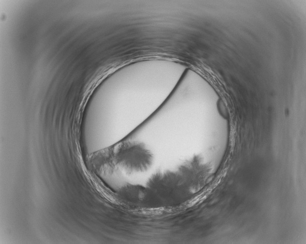 X0000082170049200701191030