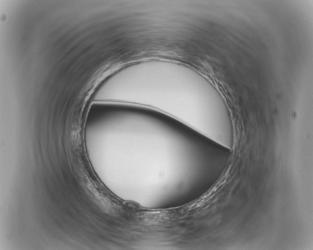 X0000082170050200701191030