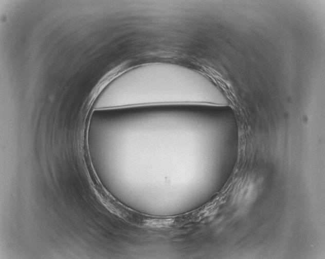 X0000082170051200701191030