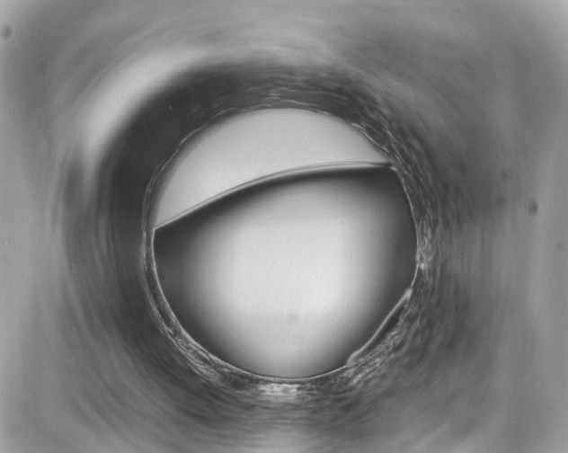 X0000082170052200701191030