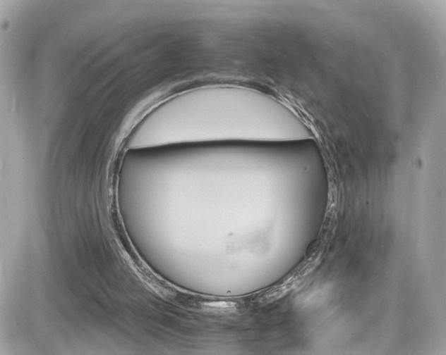 X0000082170053200701191030