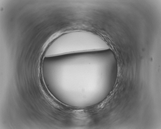 X0000082170054200701191030