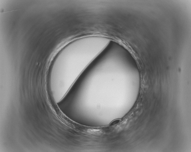 X0000082170055200701191030