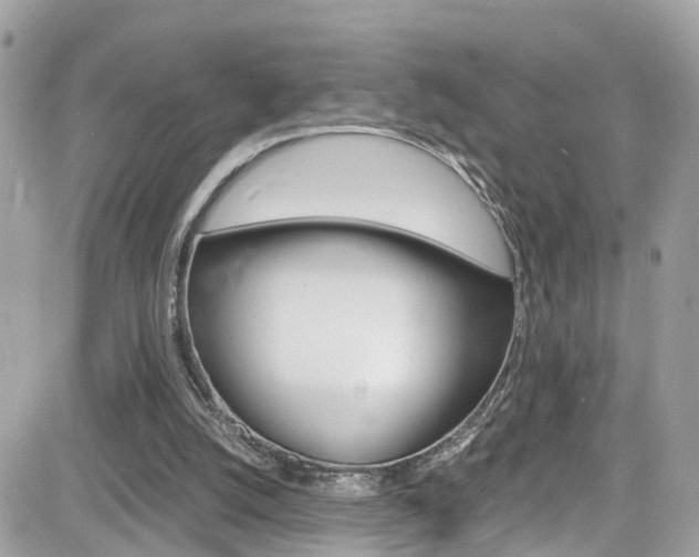 X0000082170056200701191030