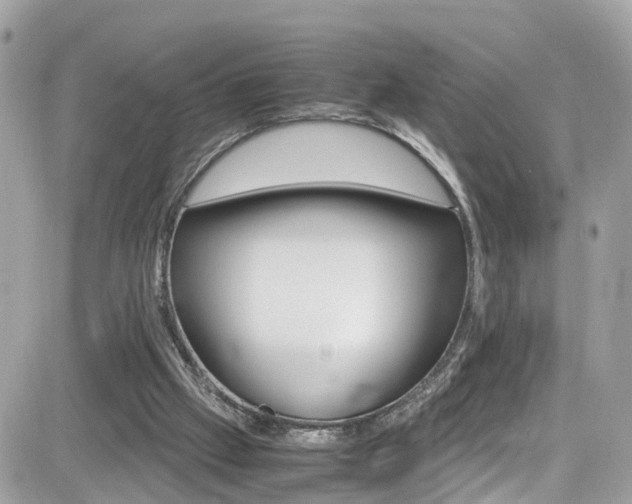 X0000082170057200701191030