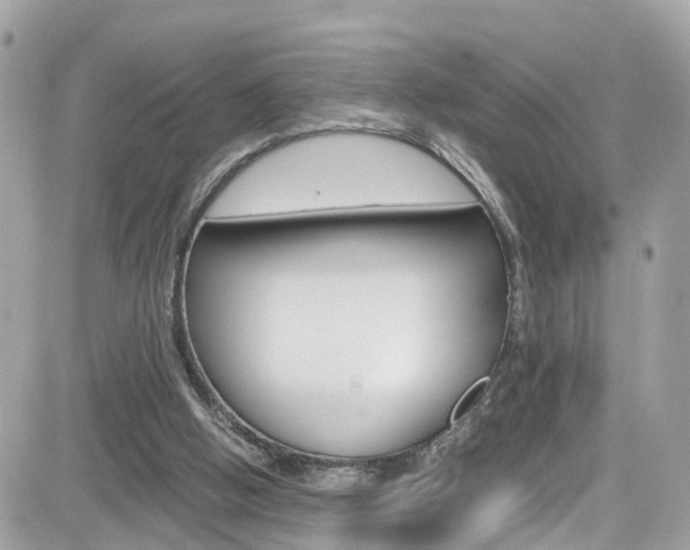 X0000082170058200701191030