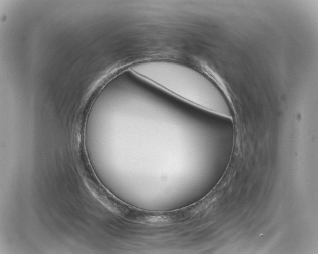 X0000082170059200701191030