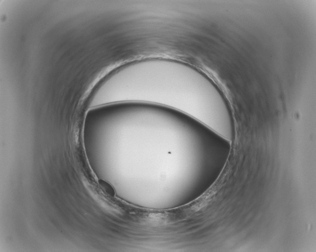 X0000082170060200701191030