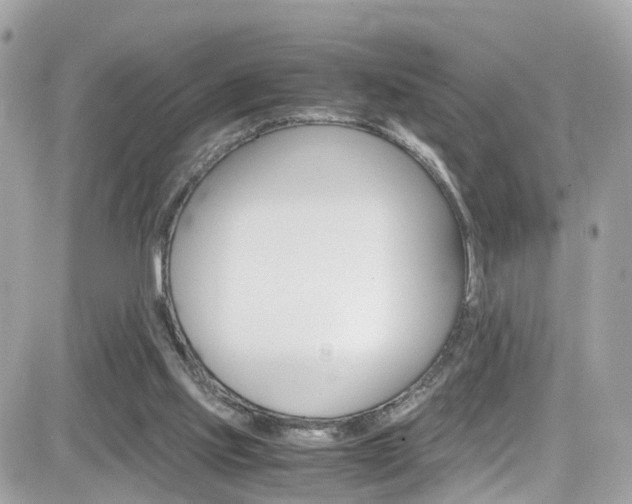 X0000082170061200701191030