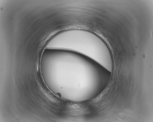 X0000082170062200701191030