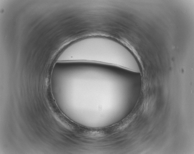 X0000082170063200701191030