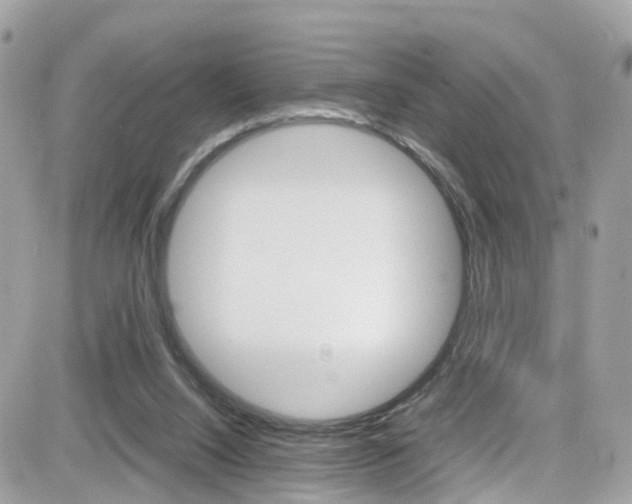 X0000082170064200701191031