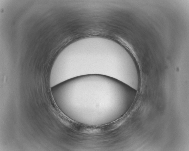 X0000082170065200701191031