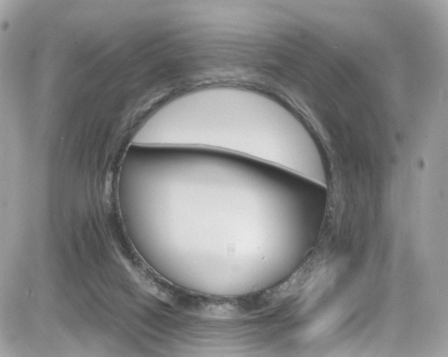 X0000082170066200701191031