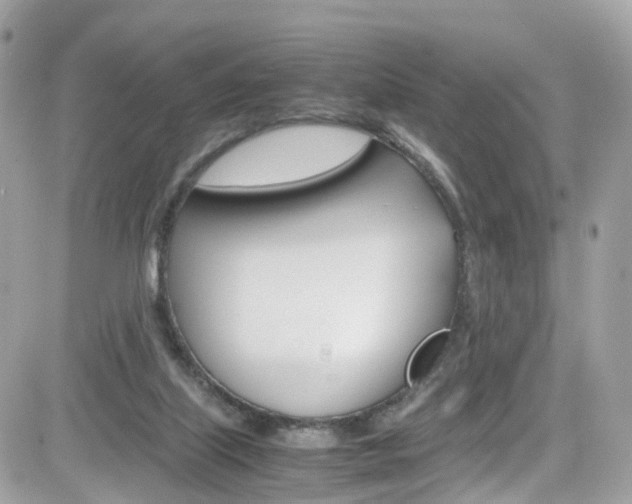 X0000082170067200701191031