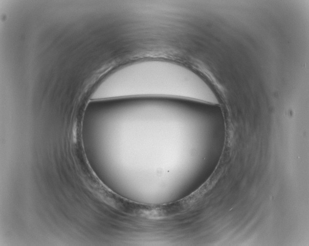 X0000082170068200701191031