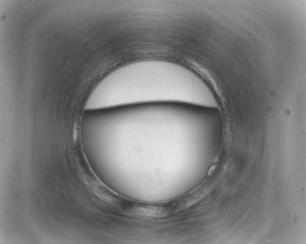 X0000082170069200701191031