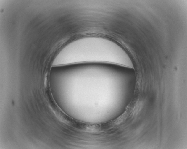 X0000082170070200701191031