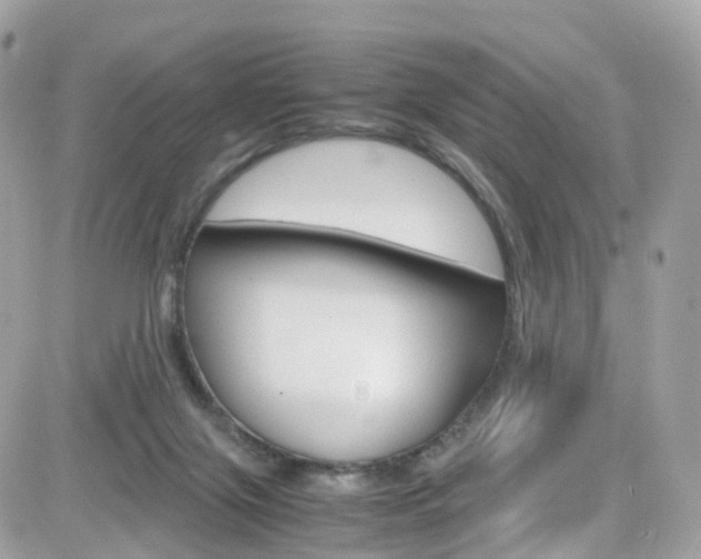 X0000082170071200701191031